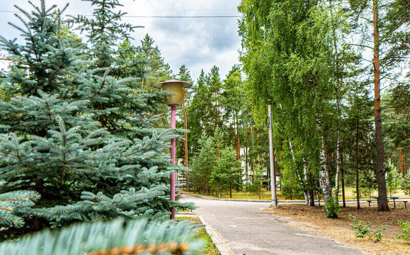 Территория санатория